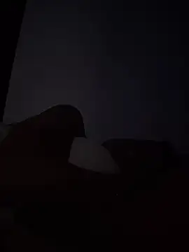 Juann-cock online show from June 2, 2026, 10:23 pm