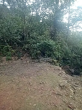 quynhkoolbae online show from February 21, 2026, 12:44 am