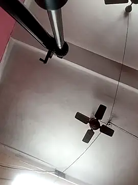 Panchi2 online show from October 8, 2025, 4:10 am