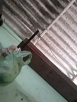 akshant1234 online show from November 17, 2025, 4:51 am