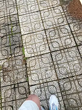 Snapshot of linh21107 chatting on November 3, 2025, 12:24 am linh21107 online show from November 3, 2025, 12:24 am