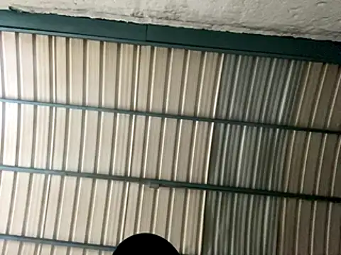 rider239 online show from October 24, 2025, 9:28 am