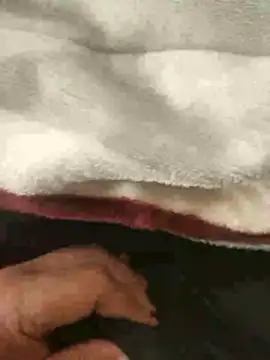 mM0140 online show from January 13, 2026, 8:30 am