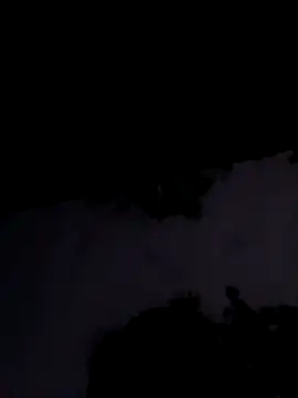 Apkisona8 online show from November 1, 2025, 2:08 pm