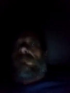 Snapshot of Potch8duim chatting on October 6, 2025, 7:55 pm Potch8duim online show from October 6, 2025, 7:55 pm