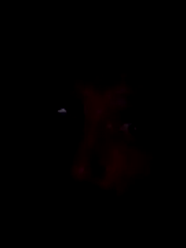 Snapshot of Potch8duim chatting on November 2, 2025, 7:49 pm Potch8duim online show from November 2, 2025, 7:49 pm