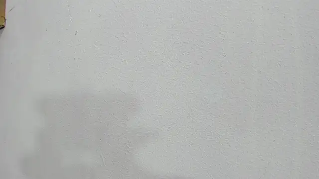 scarlett646 online show from October 25, 2025, 3:03 am