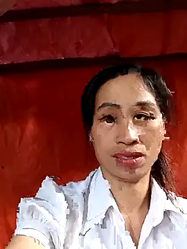 misa 00 online show from November 15, 2025, 6:44 am