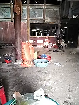 venu00 online show from December 2, 2025, 3:01 am