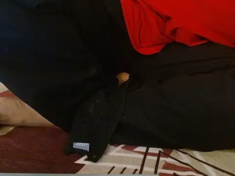 Vaani Singha online show from November 12, 2025, 10:04 am