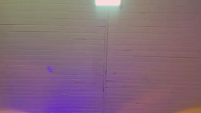 BellaBoobs  online show from October 20, 2025, 8:31 pm