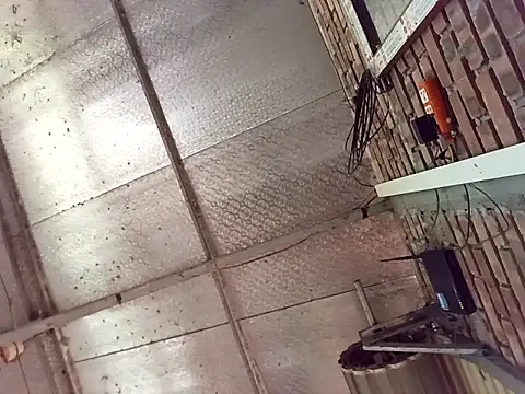 Fienjr online show from March 29, 2026, 8:58 am