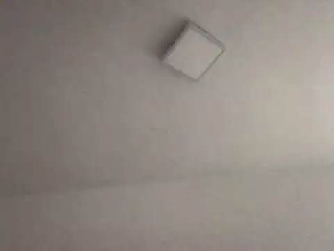 Snapshot of alegriadodia chatting on October 8, 2025, 7:55 pm alegriadodia online show from October 8, 2025, 7:55 pm