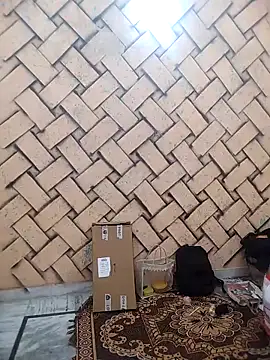 meenu bhabhi547 online show from February 25, 2026, 4:33 am