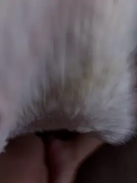 erokami36 online show from February 5, 2026, 6:07 am