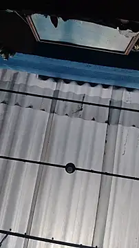 lindasyt online show from November 12, 2025, 2:17 pm