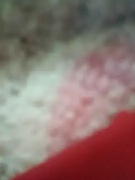 vardh033 online show from September 16, 2025, 5:03 pm