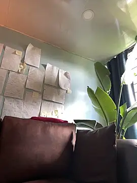 Canneela online show from March 11, 2026, 6:47 pm