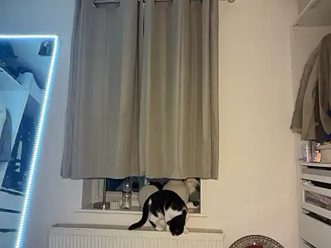 KayleeBella online show from December 3, 2025, 9:24 pm