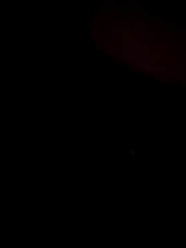 stevo170t online show from November 13, 2025, 7:40 am