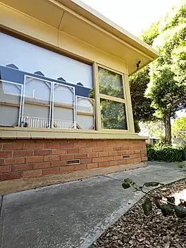 Stelan690 online show from November 21, 2025, 4:44 am