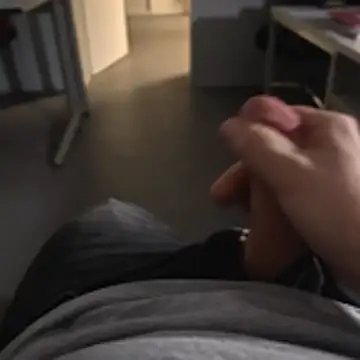 stunning stallion online show from November 24, 2025, 5:01 pm