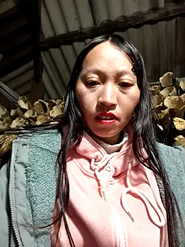 tcm-cute online show from December 18, 2025, 1:17 pm