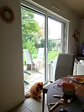 CornetDeGlace online show from October 31, 2025, 11:55 am