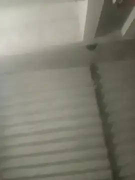 Payal950 online show from October 18, 2025, 3:13 pm