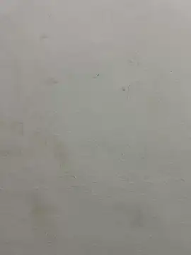 jully-jully online show from September 24, 2025, 2:59 am