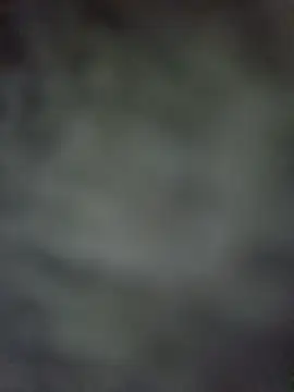 GoodVdick online show from November 30, 2025, 7:34 am