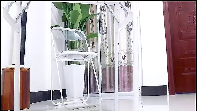 Tianxin6 online show from December 17, 2025, 3:34 am