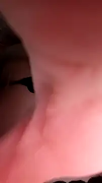 Yananamck online show from October 29, 2025, 10:17 am