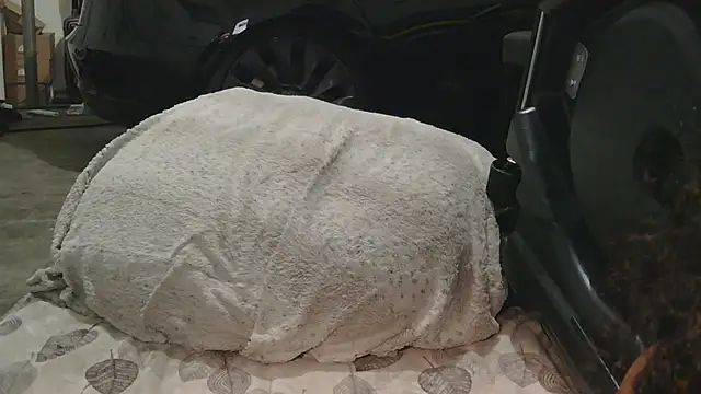 Gmajor online show from December 15, 2025, 1:32 am