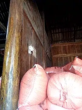 Snapshot of hera-00 chatting on September 20, 2025, 3:40 am hera-00 online show from September 20, 2025, 3:40 am