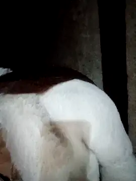 Phuong xxx online show from February 12, 2026, 11:49 am