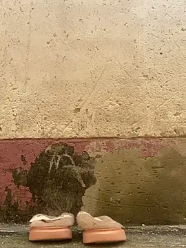 Snapshot of Crazyqueenxxx chatting on December 19, 2025, 12:01 pm Crazyqueenxxx online show from December 19, 2025, 12:01 pm