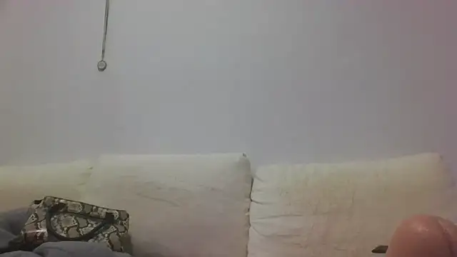 canariamorbosa online show from September 11, 2025, 8:53 pm