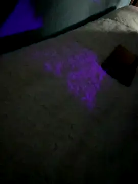 Snapshot of disvla chatting on November 22, 2025, 5:17 am disvla online show from November 22, 2025, 5:17 am