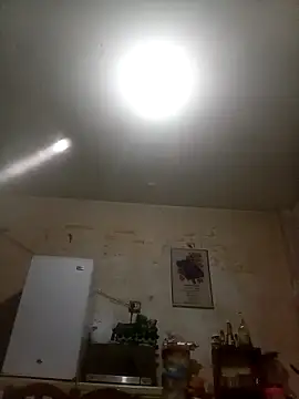 Bebicho14 online show from October 20, 2025, 4:13 am