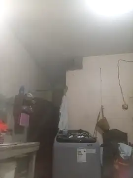 Bebicho14 online show from March 20, 2026, 12:54 pm