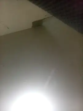 Bebicho14 online show from April 7, 2026, 2:56 am