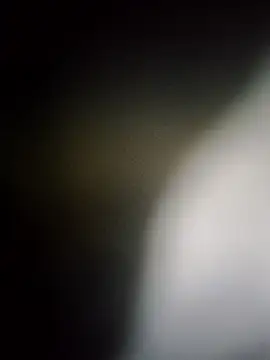 Rk3BULL online show from March 26, 2026, 11:43 pm