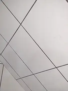 Novin23cms online show from December 19, 2025, 4:03 pm