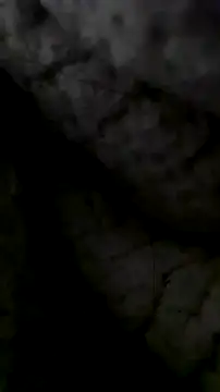 LanaAce719 online show from October 13, 2025, 7:41 am