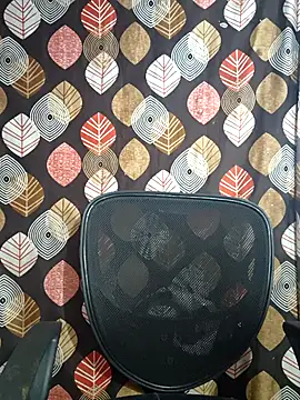 telugu pellam online show from February 28, 2026, 9:21 am