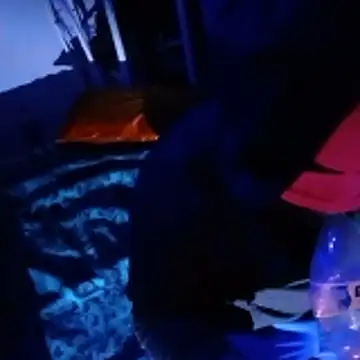 johnboones10 online show from February 22, 2026, 5:00 pm