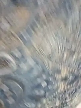 Snapshot of HAANNIAA chatting on December 2, 2025, 11:04 am HAANNIAA online show from December 2, 2025, 11:04 am