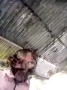 sharpei online show from February 19, 2026, 6:48 pm