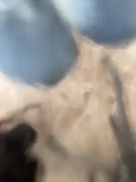 Adele Pinkk online show from October 2, 2025, 2:13 pm